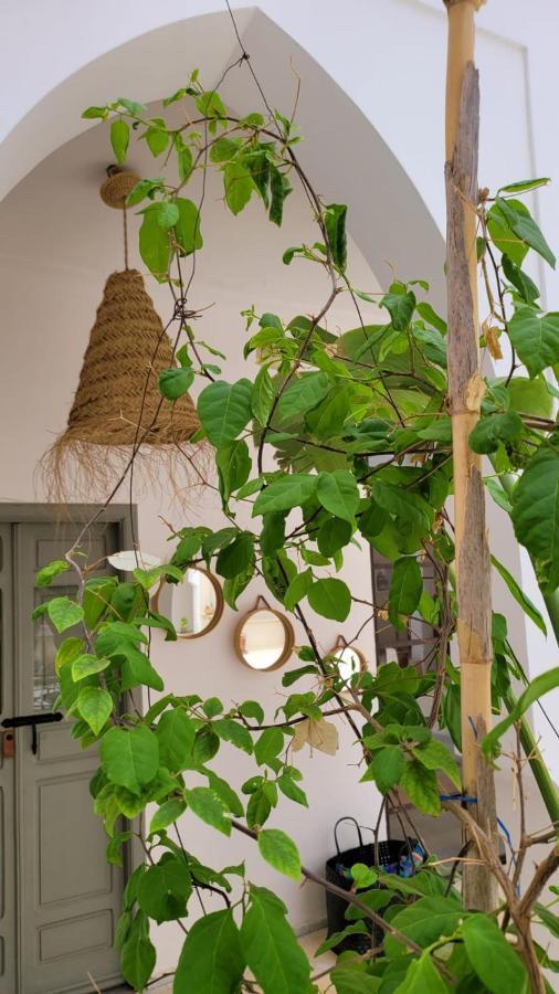 Riad Nohad Marrakech Marrákes Kültér fotó